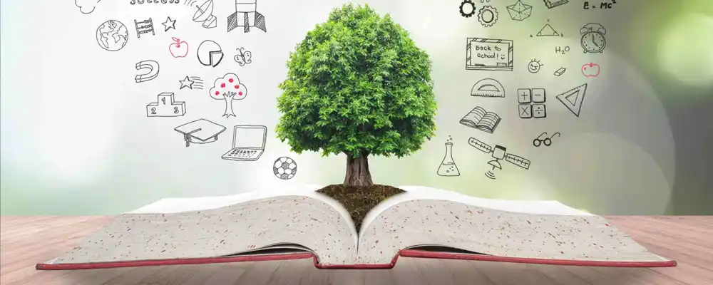Trusted Placement Consultancy | Future Vision Consultancy